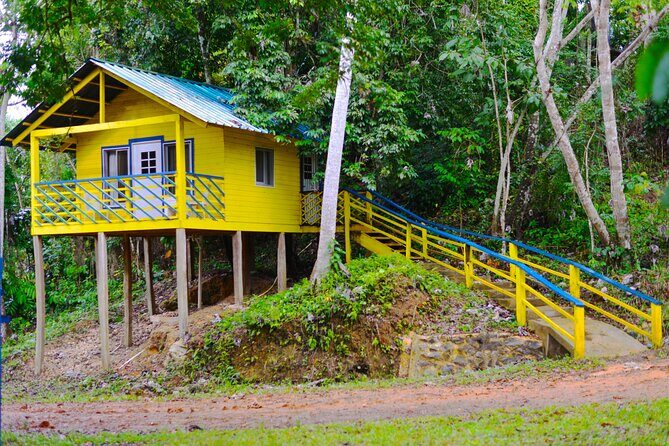 4x4 ATV Adventure Dominican culture in Miches (Half Day) - Who Should Consider This Tour?