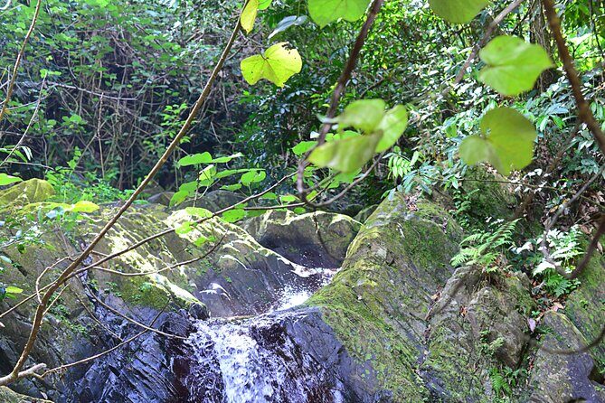4x4 ATV Adventure Dominican culture in Miches (Half Day) - The Sum Up