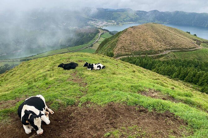 4x4 Half Day - Sete Cidades Tour - An Overview of the Experience