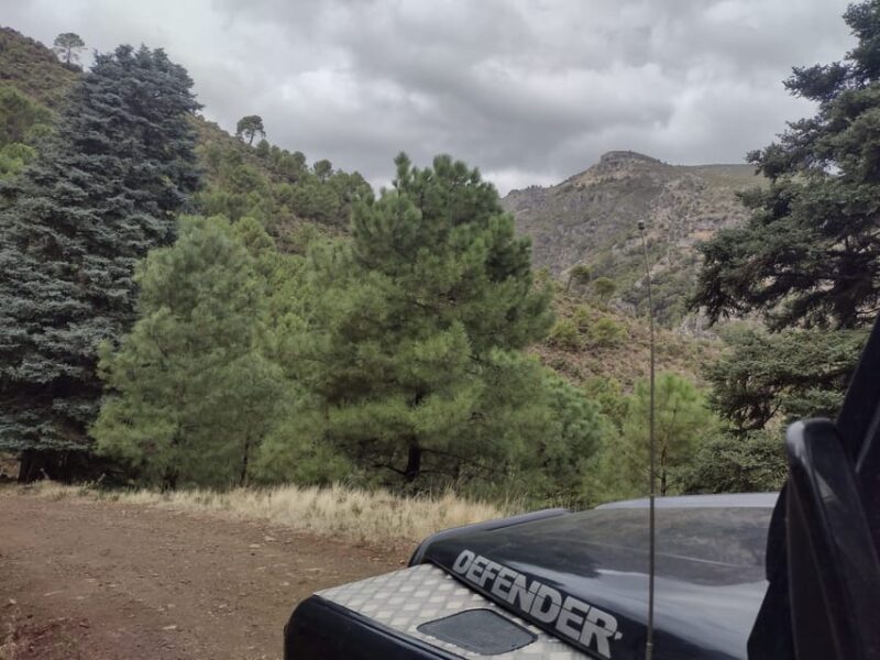 4x4 in the Heart of the Sierra De Las Nieves National Park - Guided Tour Experiences and Highlights