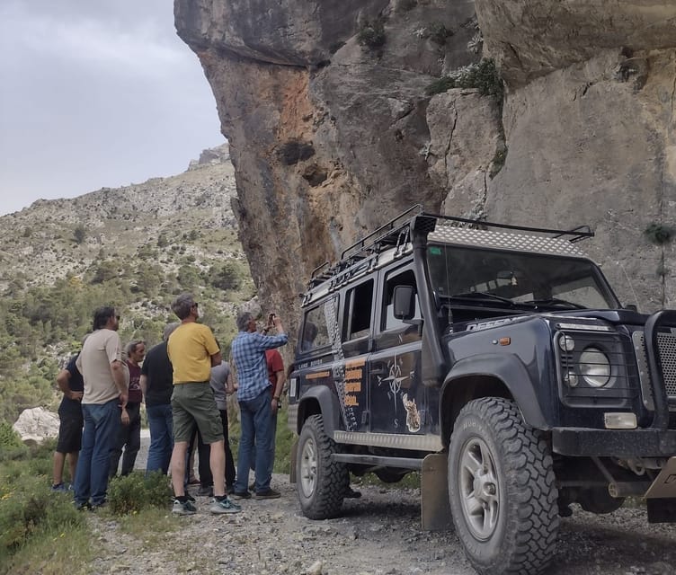 4x4 in the Heart of the Sierra De Las Nieves National Park - Meeting Point and Environmental Considerations