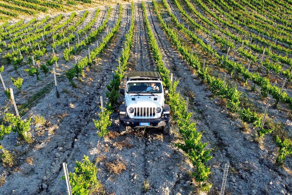 4x4 Jeep Vineyard Safari Tour With Lunch and Wine Tasting - Key Points