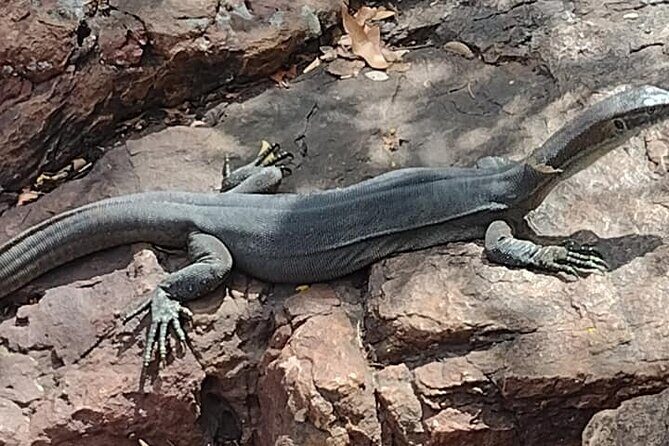 4x4 Litchfield Park Adventures - Final Thoughts: Is This Tour for You?  