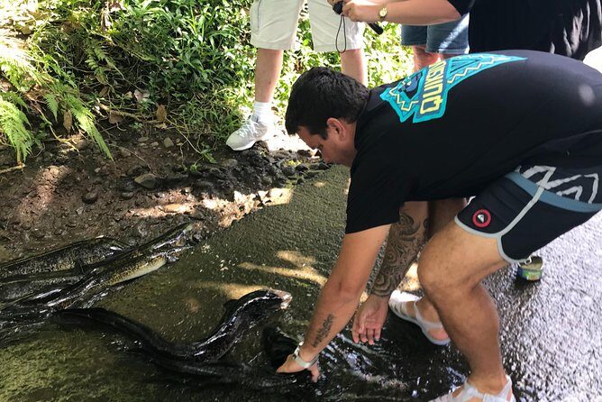 4x4 Moorea Safari Tours : With Hotel transfers - Exploring Moorea by 4x4: An Authentic Scenic Adventure