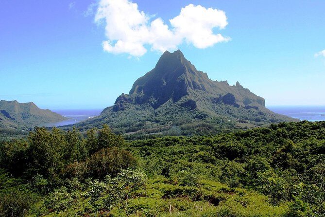 4x4 Moorea Safari Tours : With Hotel transfers - What Travelers Are Saying