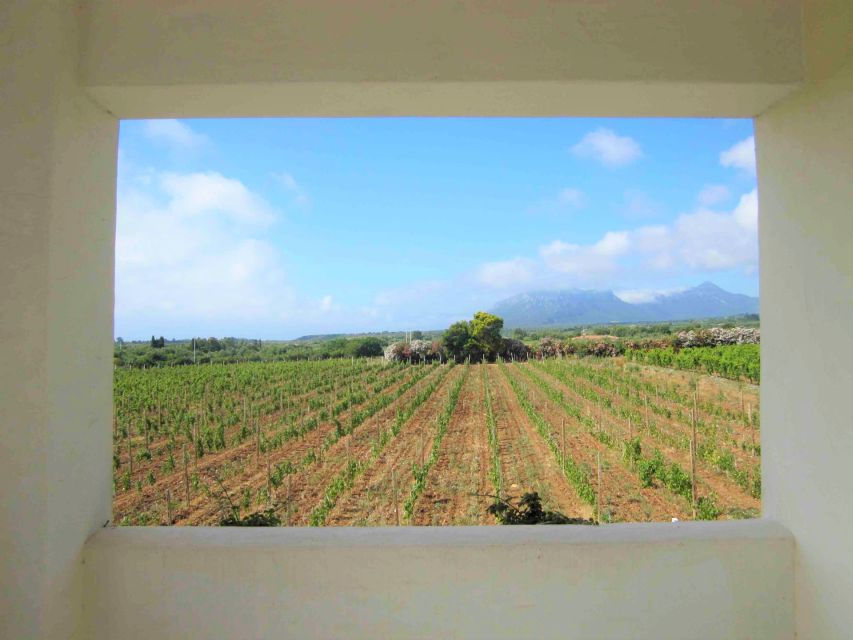 4x4 Private Tour in Orosei W/ Vineyard & Nuraghe Visit - Inclusions