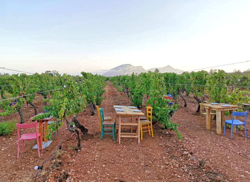 4x4 Private Tour in Orosei W/ Vineyard & Nuraghe Visit - Frequently Asked Questions