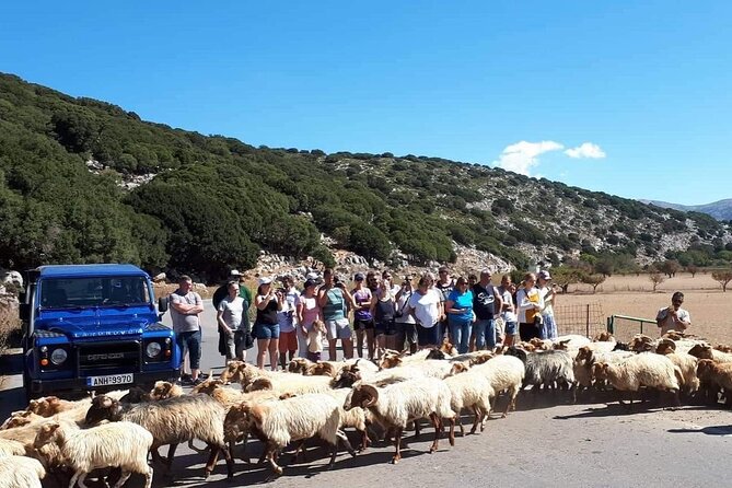 4x4 Safari Tour Southern Crete Tripitis Gorge - Pickup and Timing