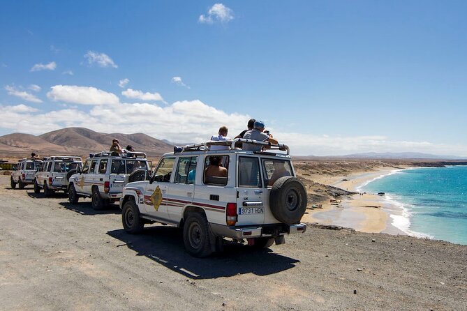 4x4 Tour & Beach El Cotillo, Northern Fuerteventura - Aloe Vera Factory and Majorero Goats Cheese