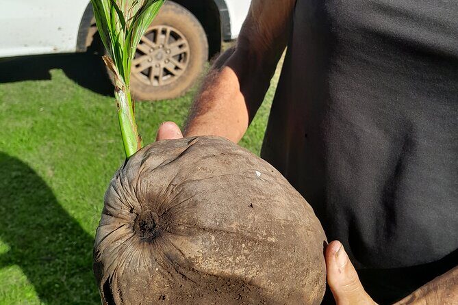 4x4 Tour Culture, Crafts and Agritourism in Raiatea - Authenticity and Value