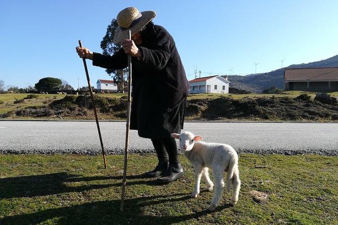 4X4 Tour – Mountain - Viana Do Castelo - Serra Sta. Lucia, Serra D'arga - Good To Know