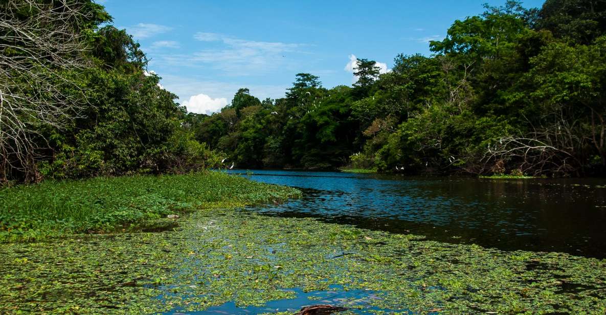 5-Day All Inclusive Pacaya Samiria Reserve From Iquitos - Key Points