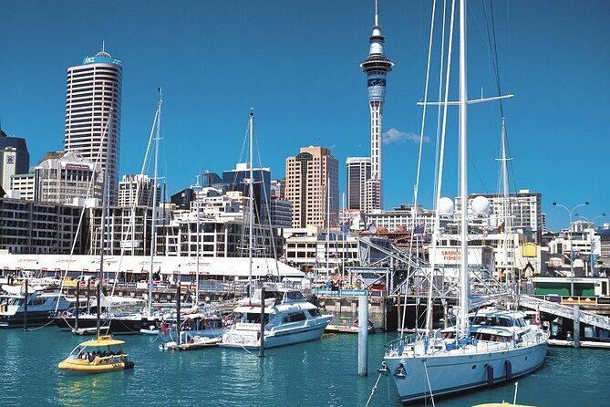 5-Day Bay of Islands, Auckland, Hobbiton, Rotorua & Waitomo Tour - Who Is This Tour Best For?