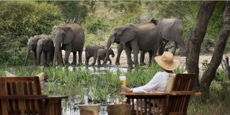 5 Day Garden Route Private Safari From Cape Town - Good To Know