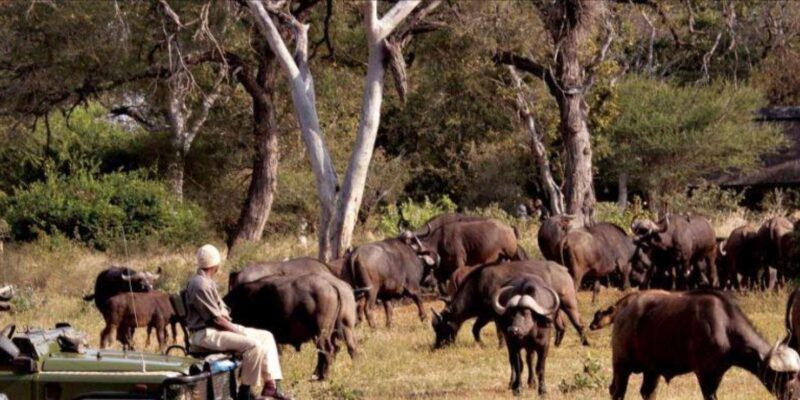 5 Day Garden Route Private Safari From Cape Town - Itinerary Highlights