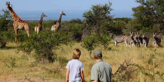 5 Day Garden Route Private Safari From Cape Town - Pickup and Accessibility