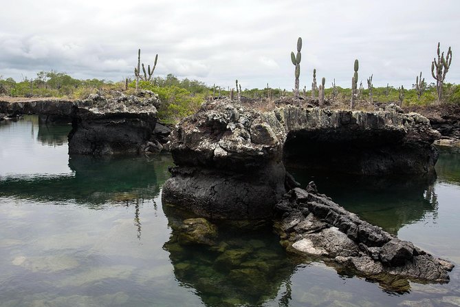 5-Day Guided Galapagos & Los Tuneles Tour - Inclusions and Exclusions