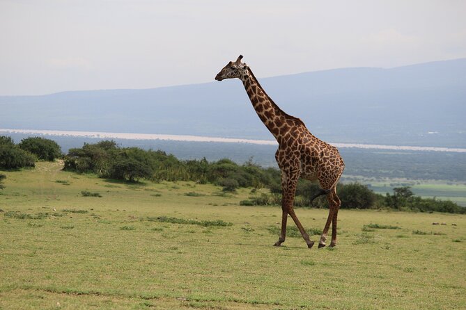 5-Day Highlights Mid-Range Crater, Serengeti, Tarangire - Customer Experiences