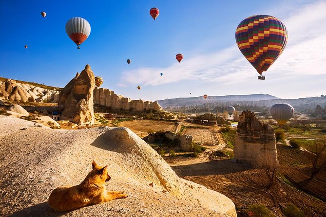 5-Day Istanbul and Cappadocia Tour Including Hot Air Balloon Flight - Customer Feedback and Ratings