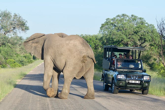 5-Day Kruger National Park Safari Including Breakfast and Dinner - Climate Considerations