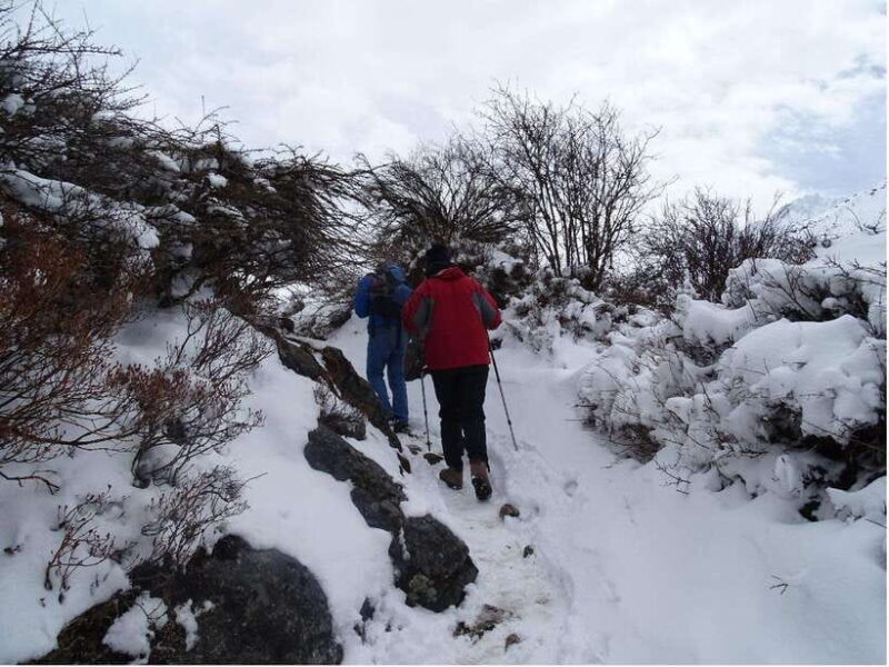 5 Day Langtang Valley Trek; Guide; Transport; permit - Who Would Love This Trek?
