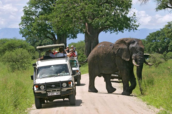 5-Day Mikumi & Ruaha Tanzania Wildlife Lodge Safari - Dining and Leisure at Ruaha Lodge