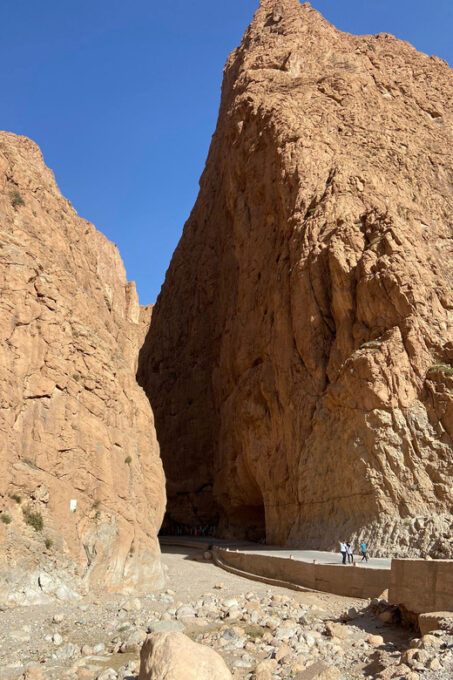 5-Day Morocco Desert Tour From Marrakech - Inclusions and Amenities