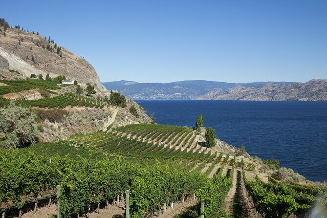 5 Day Okanagan Wine Tour by Minibus - Final Thoughts