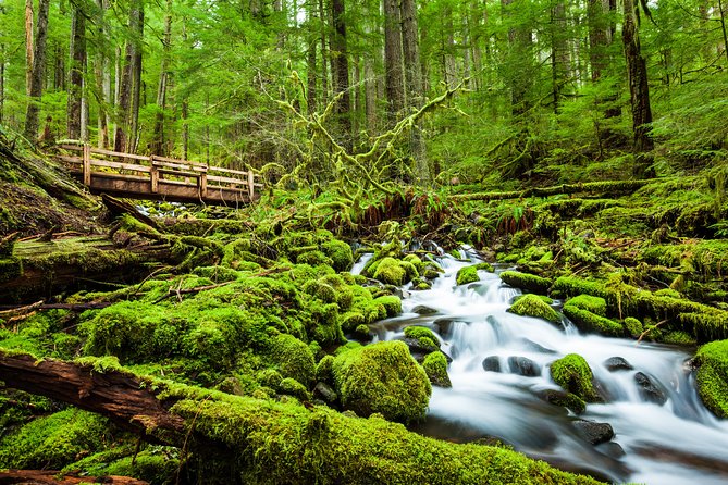 5-Day Olympic Backpacking - Hoh Rainforest and the Blue Glacier - About Your Stay