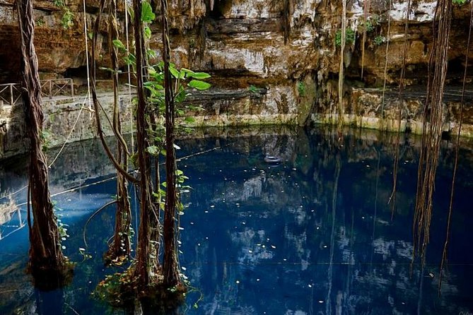 5-Day Riviera Maya and Yucatan Tour, Mexico - Inclusions