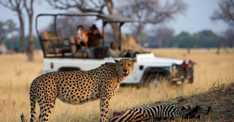 5 Day Small Group Garden Route Tour From Cape Town - Itinerary Highlights