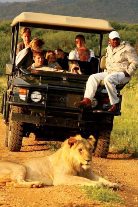 5 Day Small Group Garden Route Tour From Cape Town - Inclusions and Customer Experience