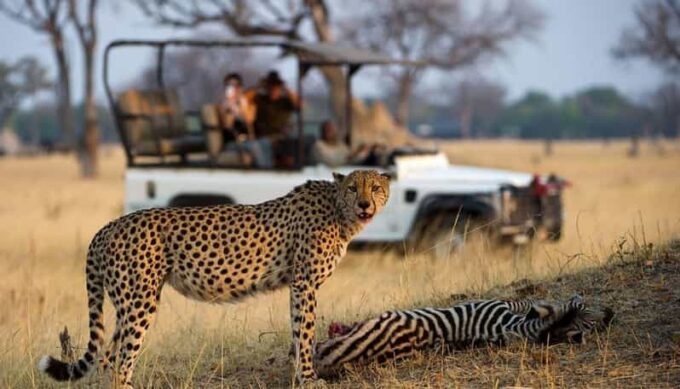 5 Day Small Group Garden Route Tour From Cape Town - Frequently Asked Questions