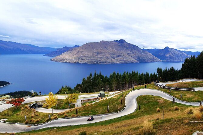 5 Day South Island New Zealand Private Tour from Dunedin - Who Should Consider This Tour?