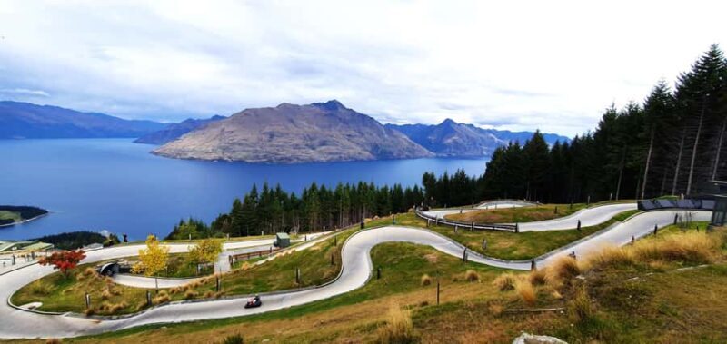 5 Day South Island NZ Tour from Dunedin to Christchurch - Final Thoughts: Is This Tour for You?