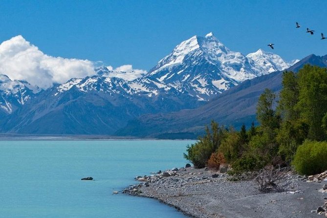 5-Day South Island Tour From Christchurch - Traveler Experiences and Reviews