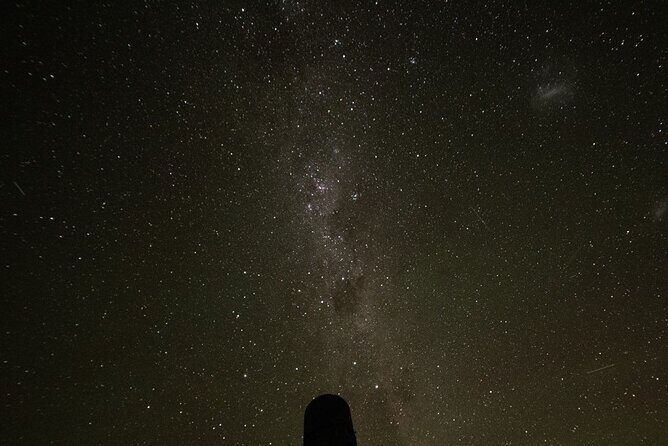 5 Day South Island Tour from Queenstown including Stewart Island - Introduction