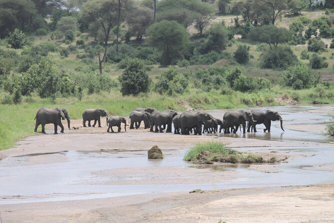 5 Day Tanzania Safari Camping Adventure Private Tour - What to Expect