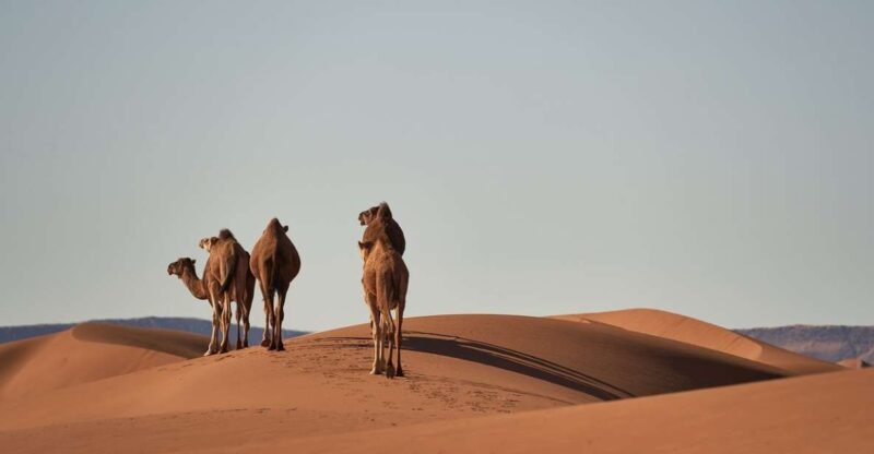 5-Day Tour From Casablanca to Iconic Destinations - Quad Biking Adventures