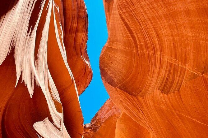 5 Day Tour L. Angeles Las Vegas Yellowstone & Grand Teton from LA - Final Thoughts: Is It Worth It?