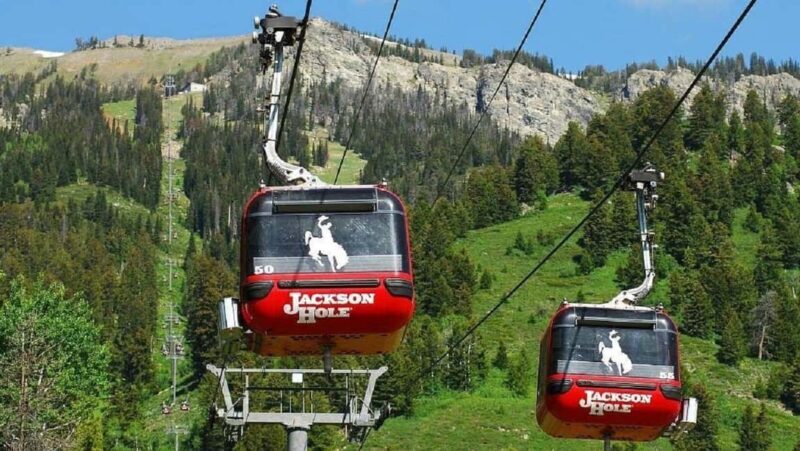 5-Day Tour: LA, Vegas, Antelope Canyon & National Parks - Final Thoughts: Who Will Love This Tour?