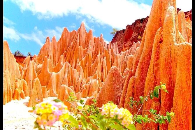 5-Day Tour to Discover the North of Madagascar - Tour Experience