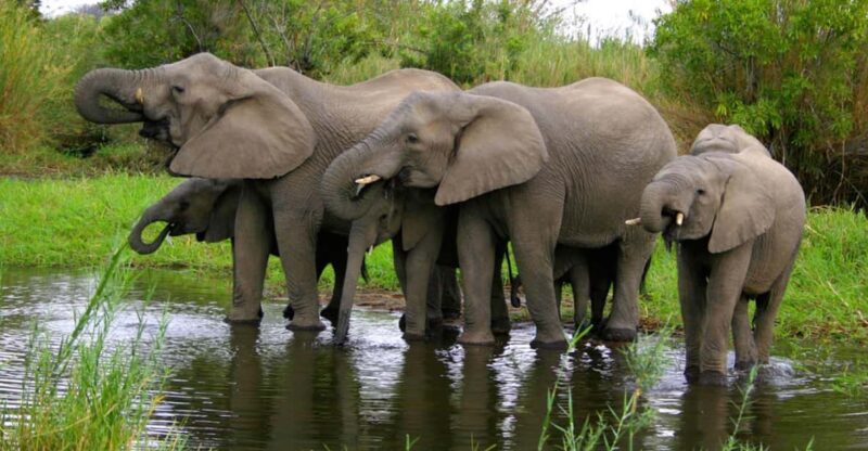 5 Day Zululand Tour From Durban - Good To Know