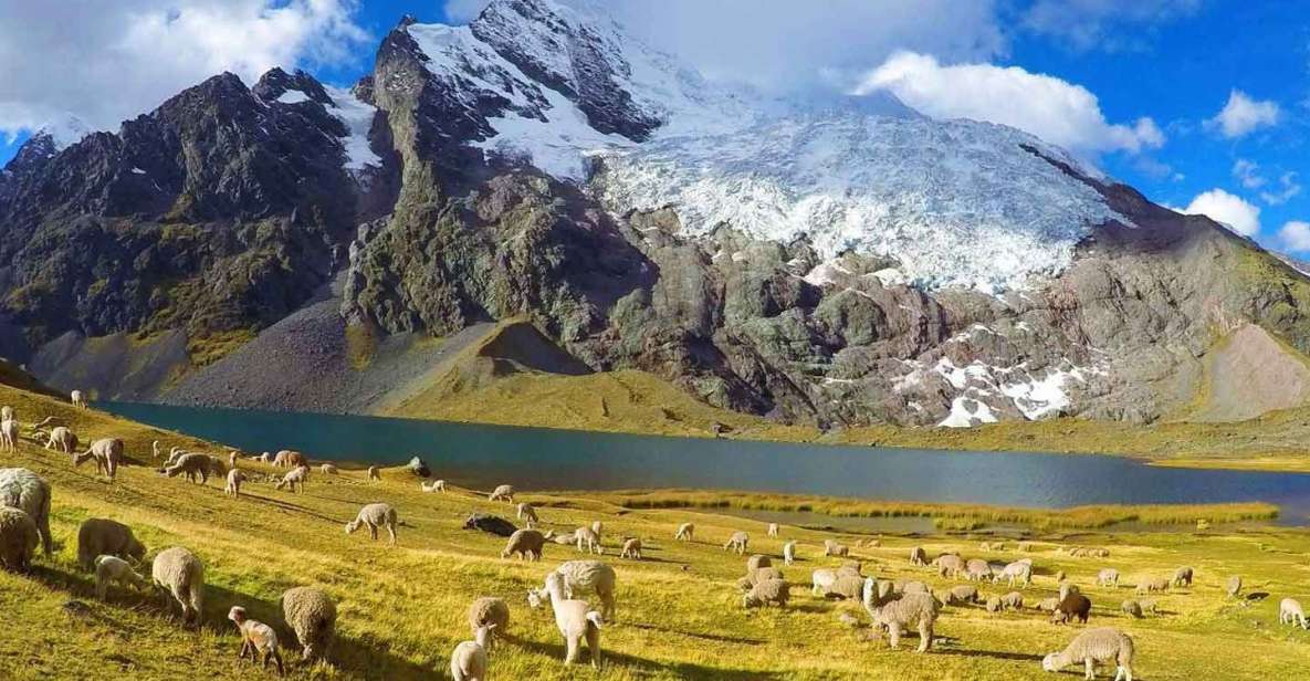 5 Days 4 Nights Excursion on the Ausangate Apu Trail - Highlights of the Excursion