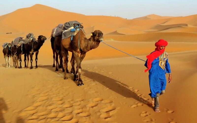 (5 Days) Combined Atlas Mountains & Valley and Sahara Deser - Good To Know