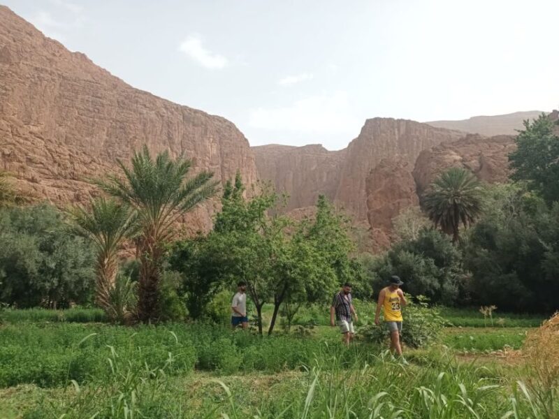 5 Days Desert Tour From Marrakech to Merzouga Dunes - Experiences and Activities