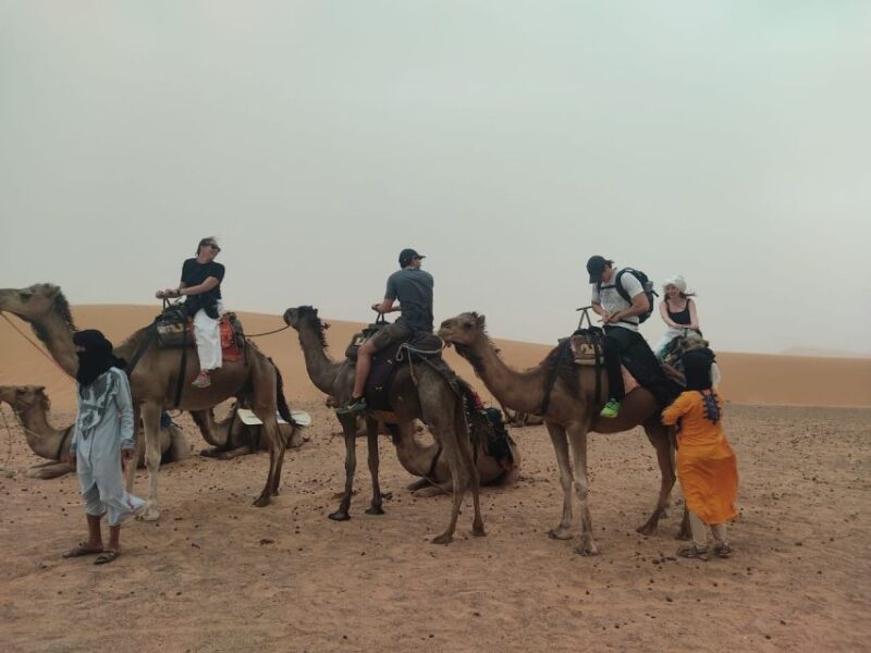 5 Days Desert Tour From Marrakech to Merzouga Dunes - Day 1: Marrakech to Ouarzazate