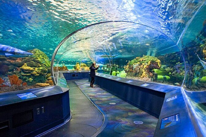 5 Days Eastern Canada Tour from Toronto - FAQs