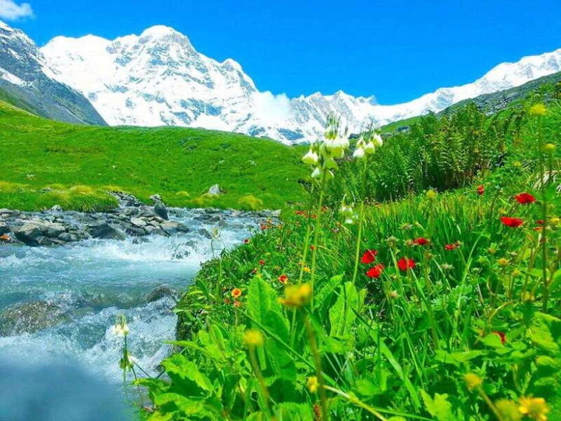 5 Days Easy Annapurna Base Camp Trek - Transportation, Permits, and Pricing
