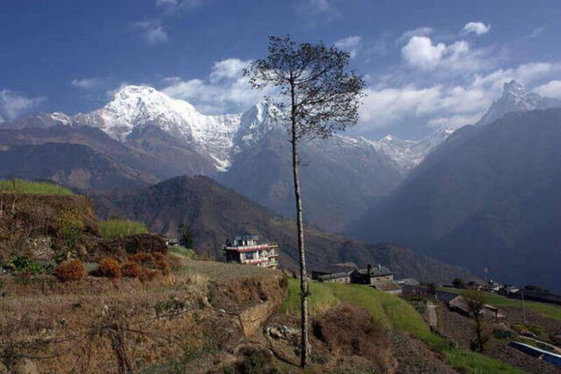 5 Days Easy Annapurna Base Camp Trek - Final Thoughts: Is This Trek Right for You?